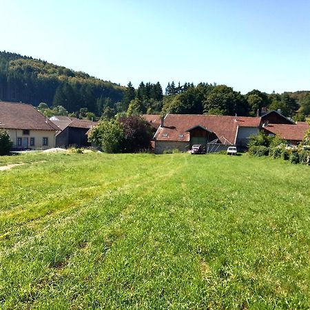 Gite Le Geleinfete II Vosges A Proximite De Gerardmer Herpelmont Εξωτερικό φωτογραφία